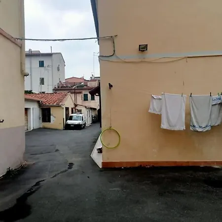 Voltina Daire *